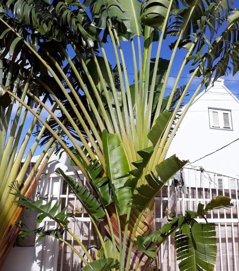 ***  Anna Bay Boutique Hotel Willemstad Curacao